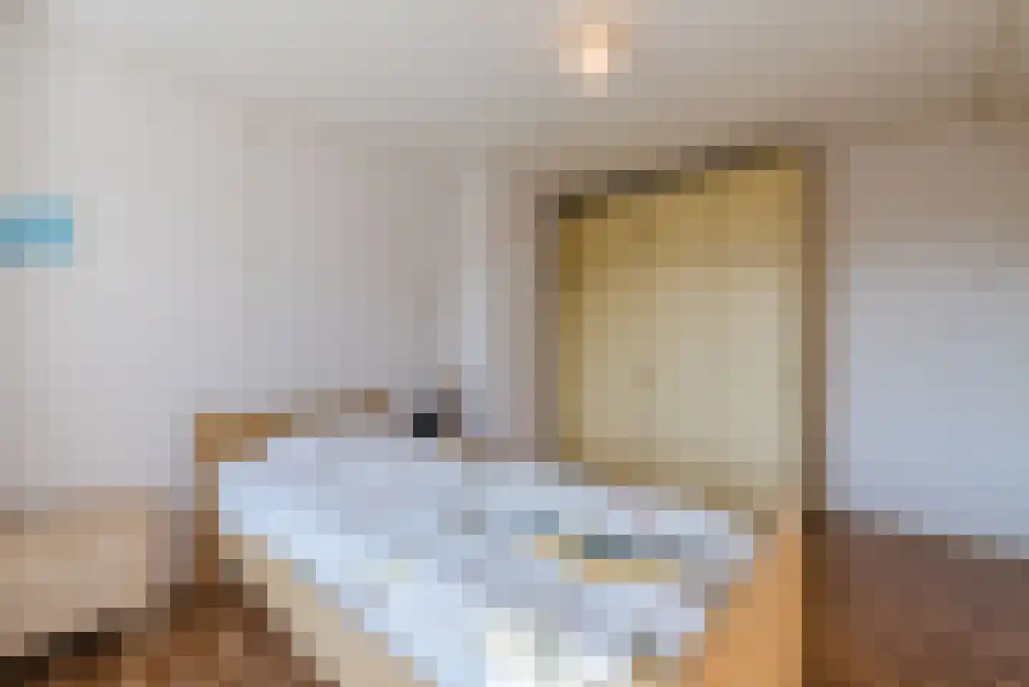 Schaepmanlaan 12 Heeze thumbnail 20