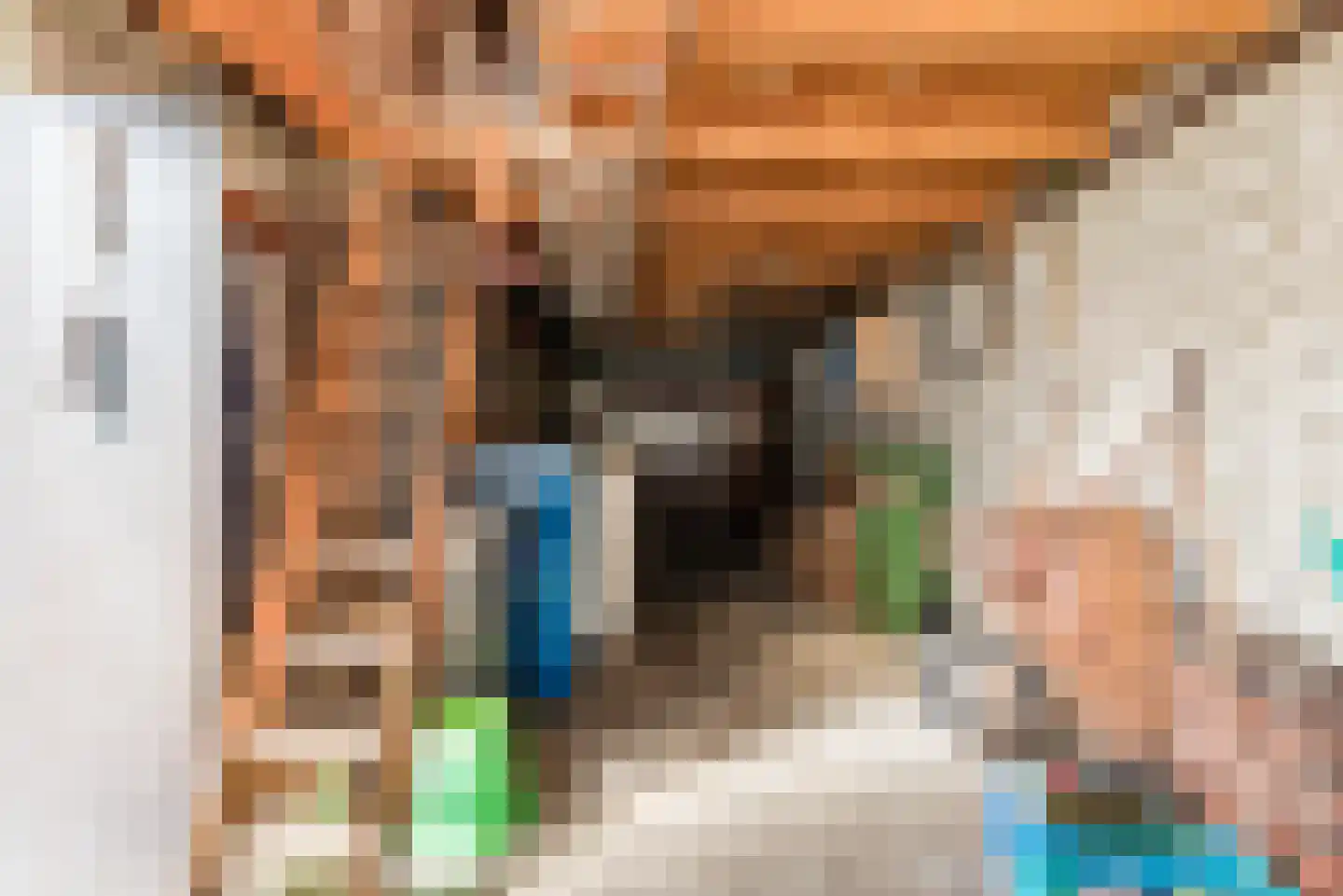 Schaepmanlaan 12 Heeze thumbnail 27
