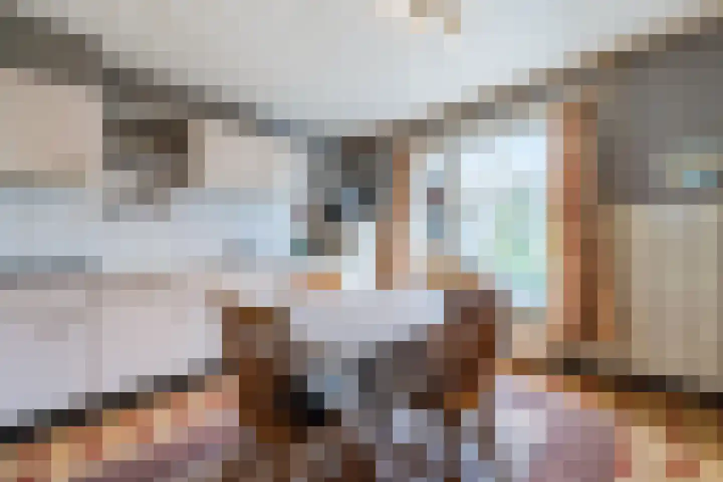 Schaepmanlaan 12 Heeze thumbnail 4