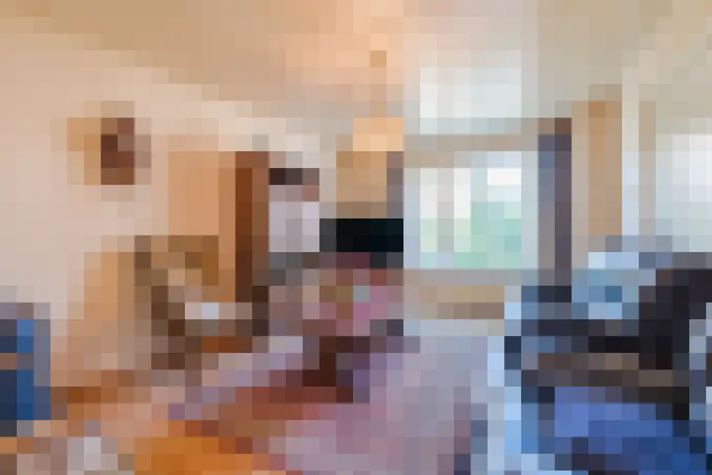 Schaepmanlaan 12 Heeze thumbnail 6