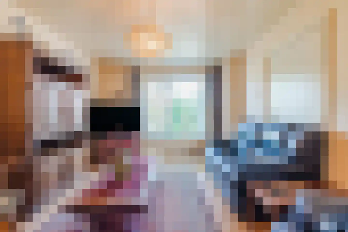 Schaepmanlaan 12 Heeze thumbnail 7