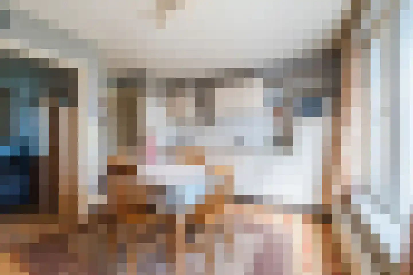 Schaepmanlaan 12 Heeze thumbnail 9