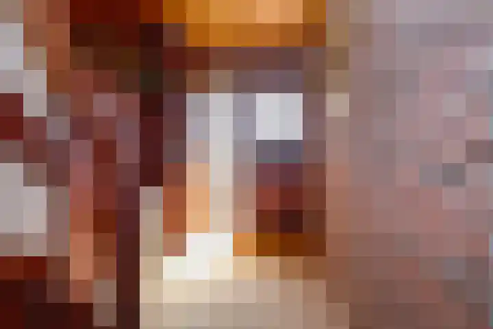 Schaepmanlaan 13 Driehuis NH thumbnail 13