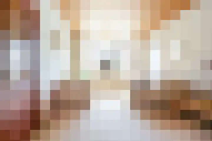 Schaepmanlaan 13 Driehuis NH thumbnail 16