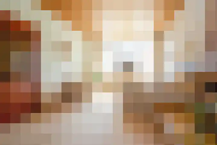 Schaepmanlaan 13 Driehuis NH thumbnail 17