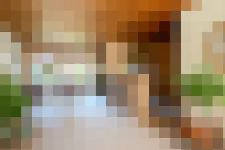 Schaepmanlaan 13 Driehuis NH thumbnail 19