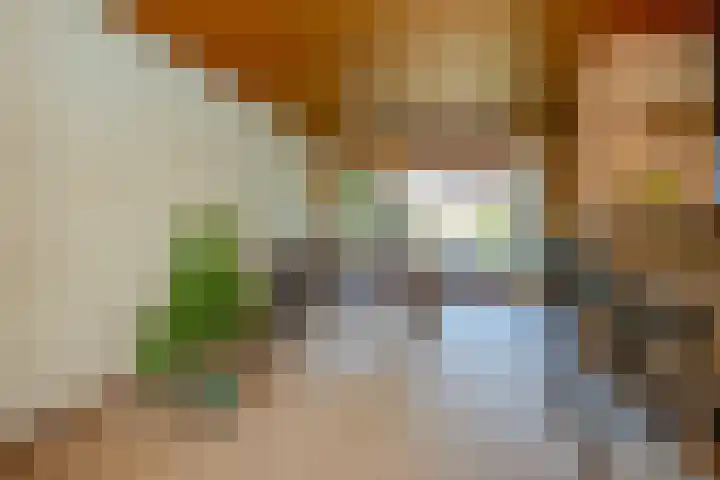 Schaepmanlaan 13 Driehuis NH thumbnail 20
