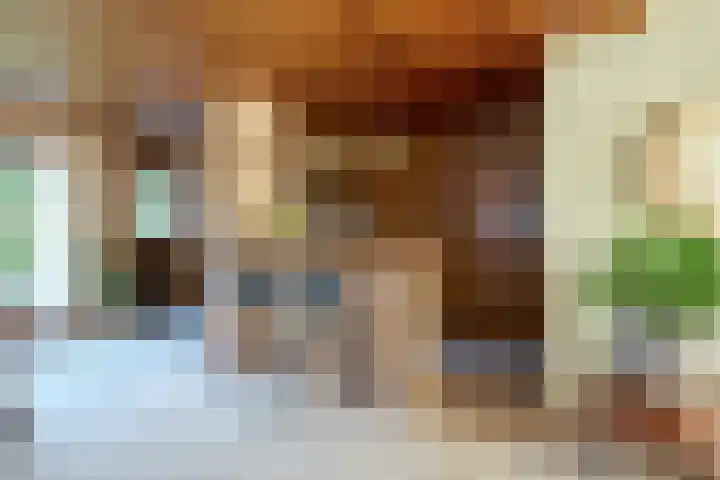 Schaepmanlaan 13 Driehuis NH thumbnail 21
