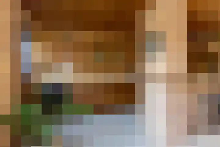 Schaepmanlaan 13 Driehuis NH thumbnail 22