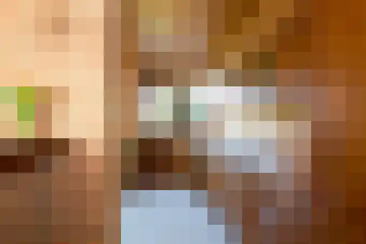 Schaepmanlaan 13 Driehuis NH thumbnail 25