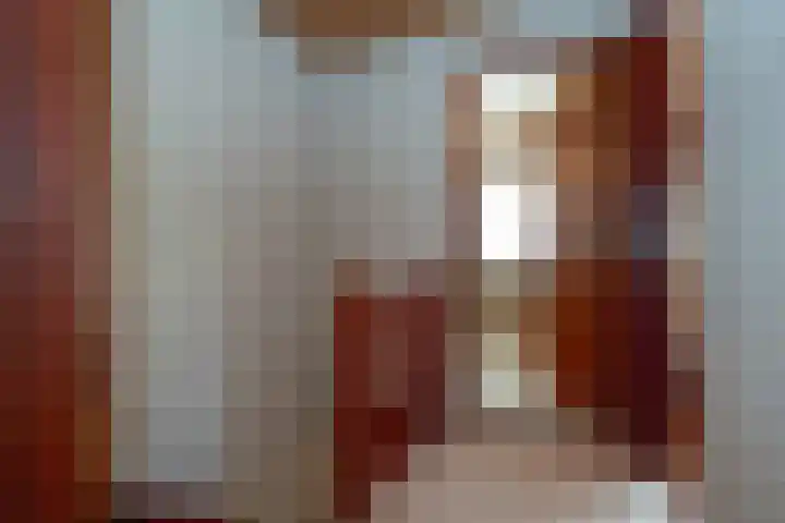 Schaepmanlaan 13 Driehuis NH thumbnail 26