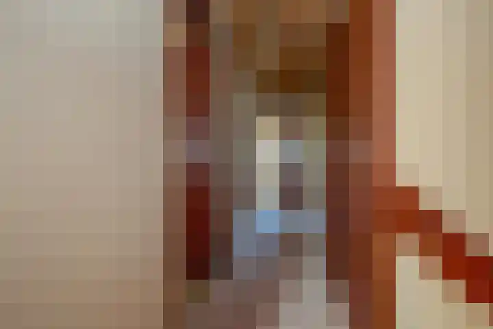 Schaepmanlaan 13 Driehuis NH thumbnail 27