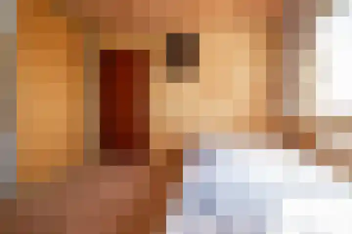 Schaepmanlaan 13 Driehuis NH thumbnail 29