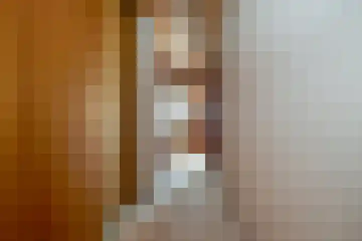 Schaepmanlaan 13 Driehuis NH thumbnail 31