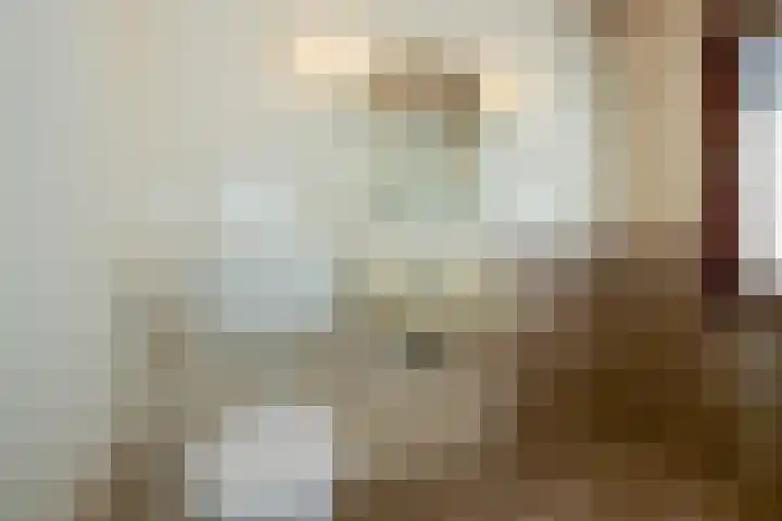 Schaepmanlaan 13 Driehuis NH thumbnail 35