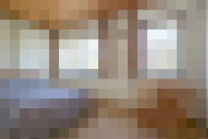 Schaepmanlaan 13 Driehuis NH thumbnail 36