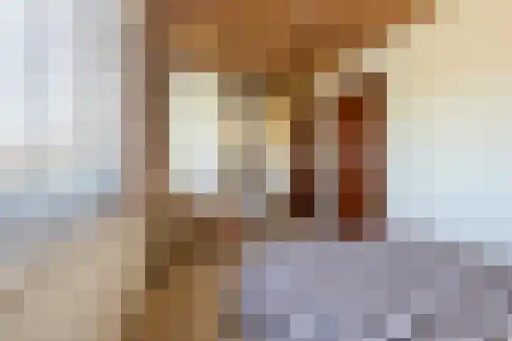 Schaepmanlaan 13 Driehuis NH thumbnail 37