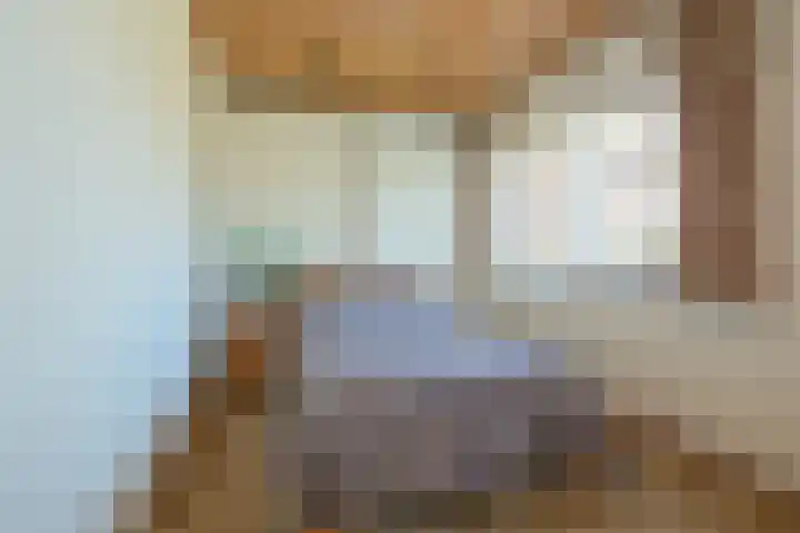 Schaepmanlaan 13 Driehuis NH thumbnail 38