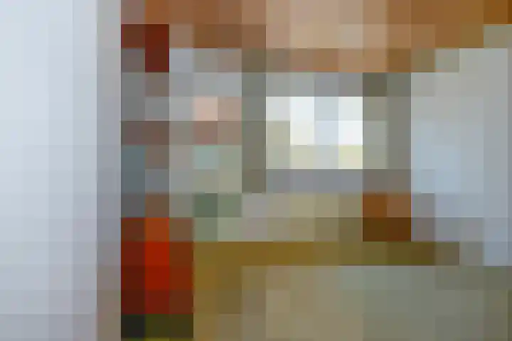 Schaepmanlaan 13 Driehuis NH thumbnail 39