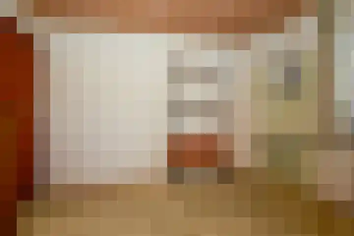 Schaepmanlaan 13 Driehuis NH thumbnail 40