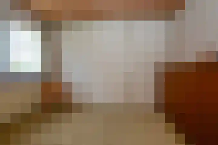 Schaepmanlaan 13 Driehuis NH thumbnail 41