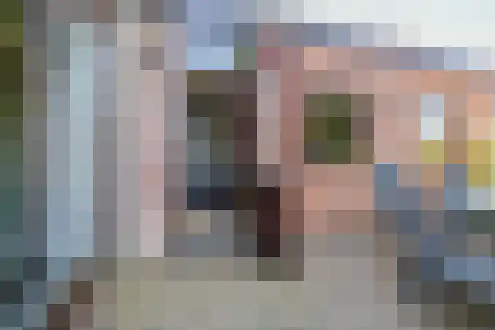 Schaepmanlaan 13 Driehuis NH thumbnail 43