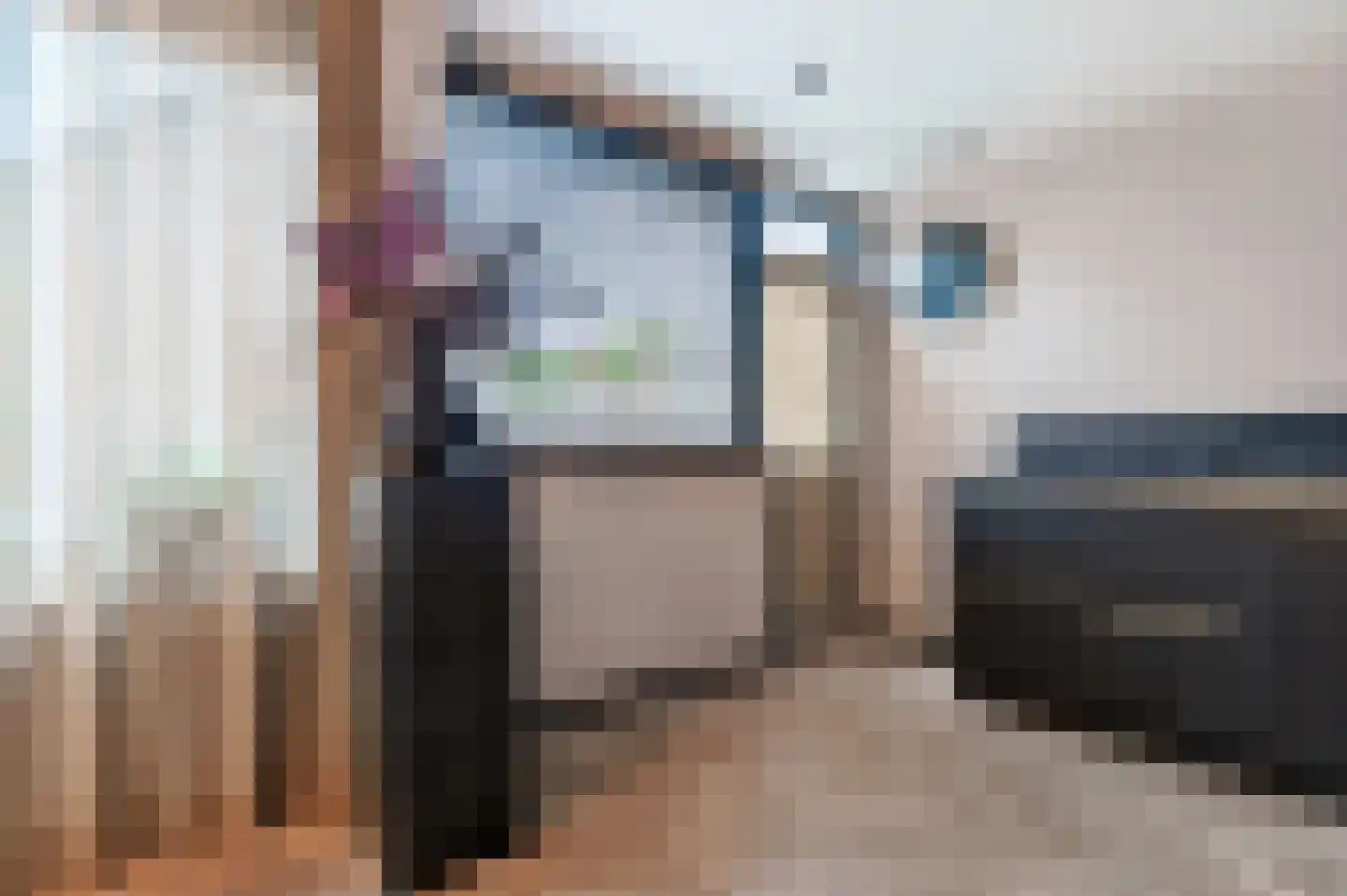 Schaepmanlaan 16 Ossendrecht thumbnail 13