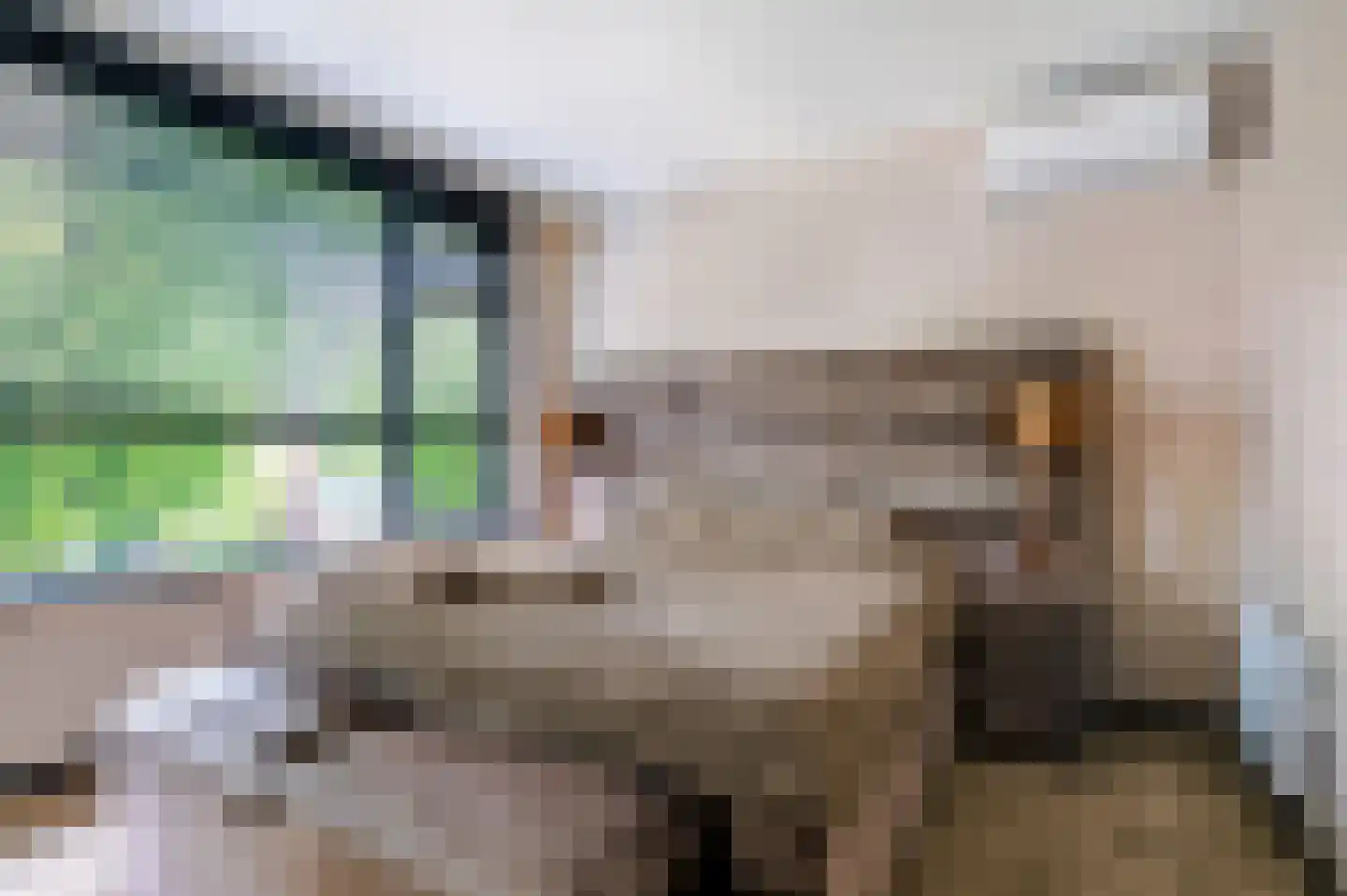 Schaepmanlaan 16 Ossendrecht thumbnail 15