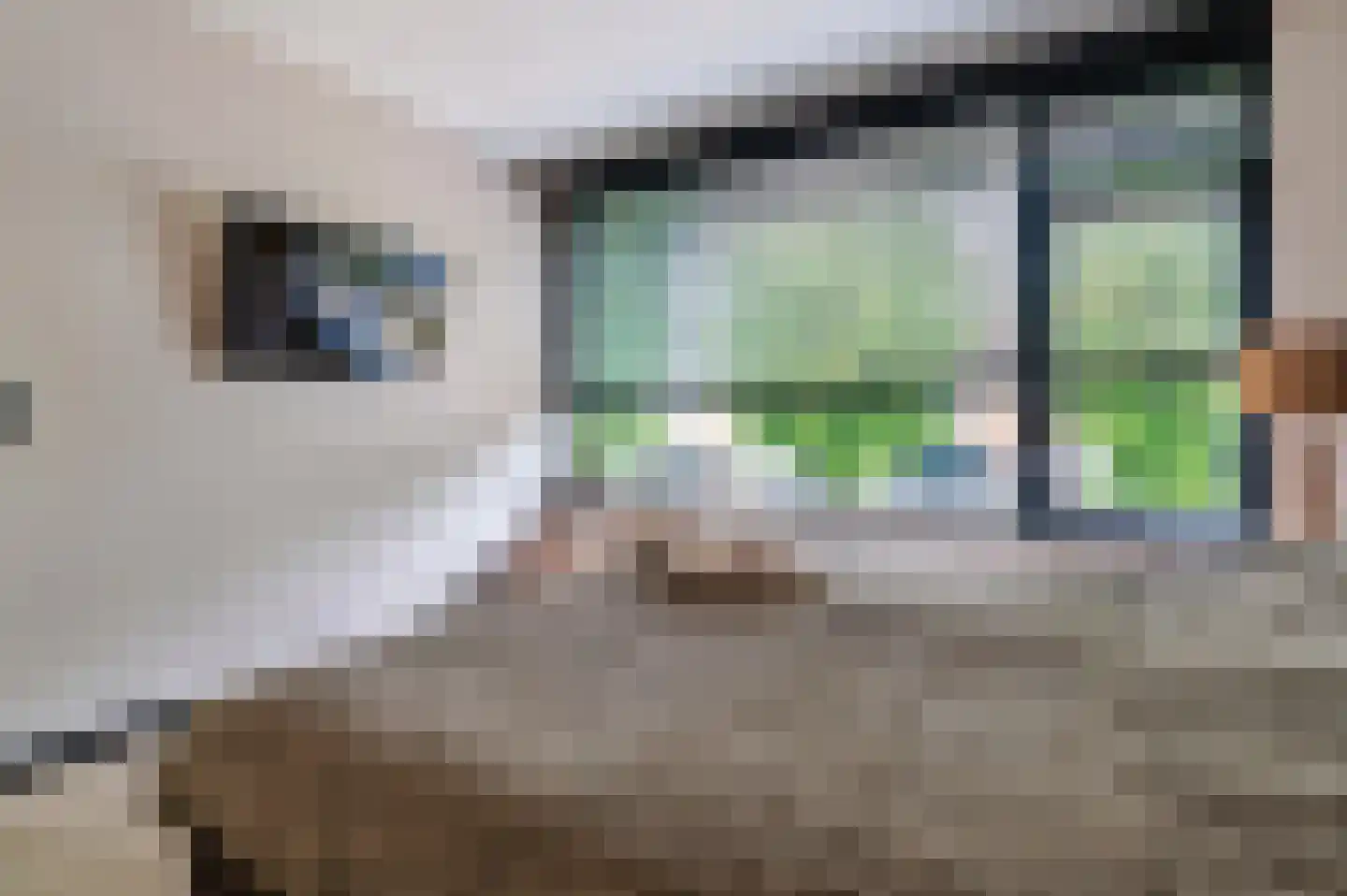 Schaepmanlaan 16 Ossendrecht thumbnail 16
