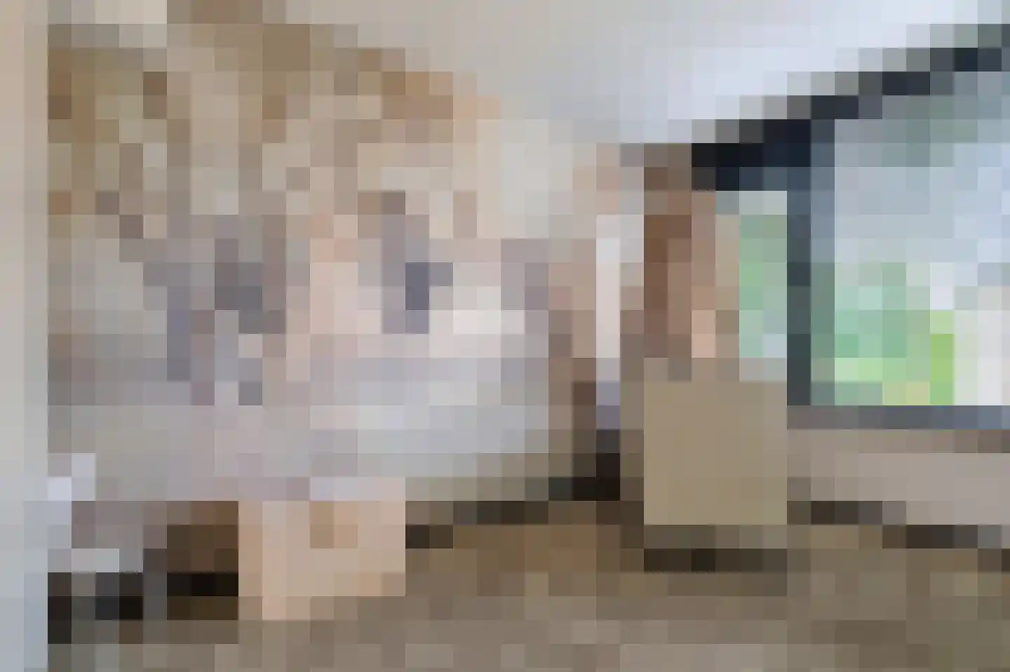 Schaepmanlaan 16 Ossendrecht thumbnail 17