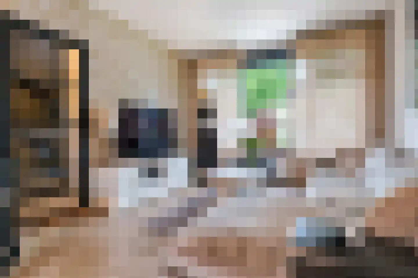 Schaepmanlaan 16 Ossendrecht thumbnail 4