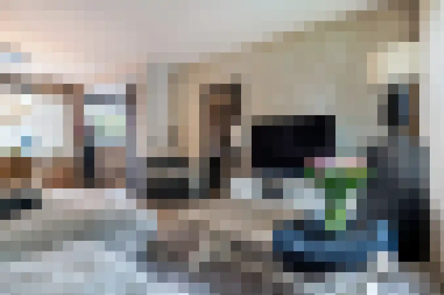 Schaepmanlaan 16 Ossendrecht thumbnail 5