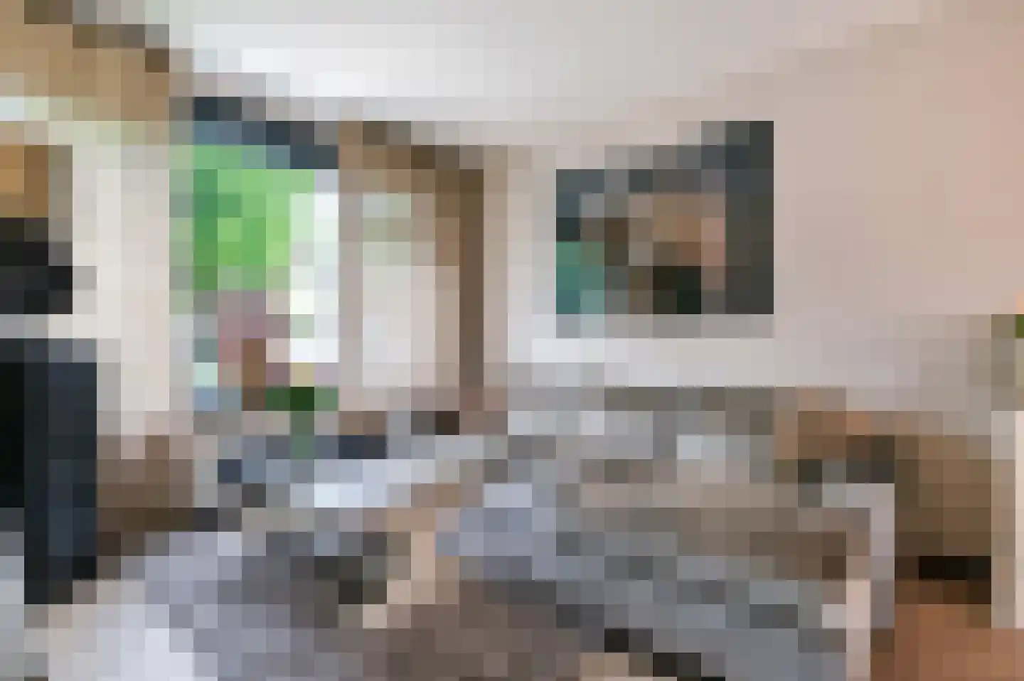 Schaepmanlaan 16 Ossendrecht thumbnail 6