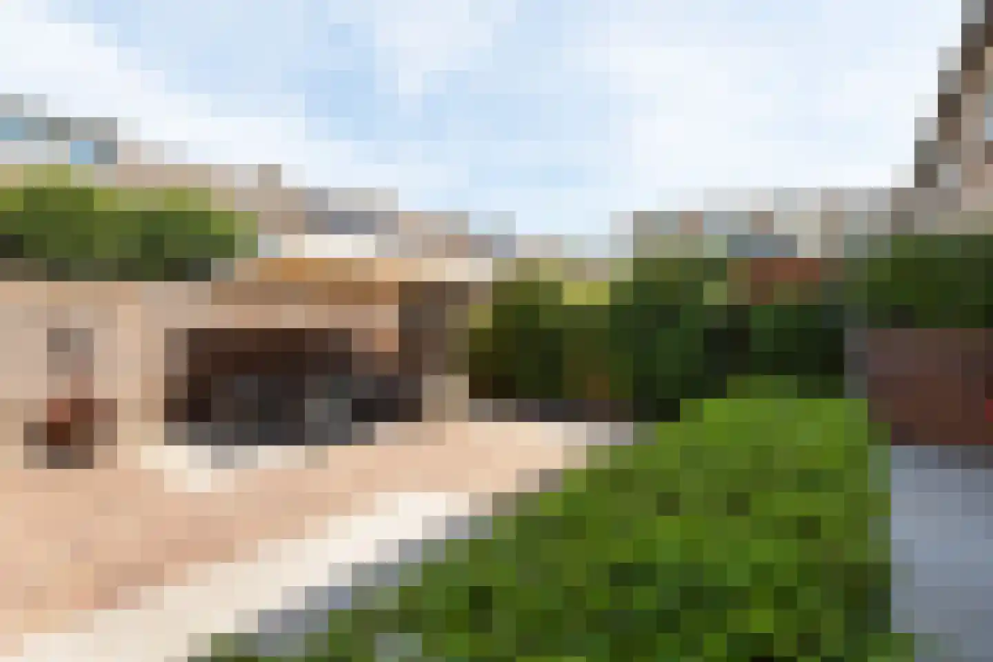Schaepmanlaan 178 Baarn thumbnail 27