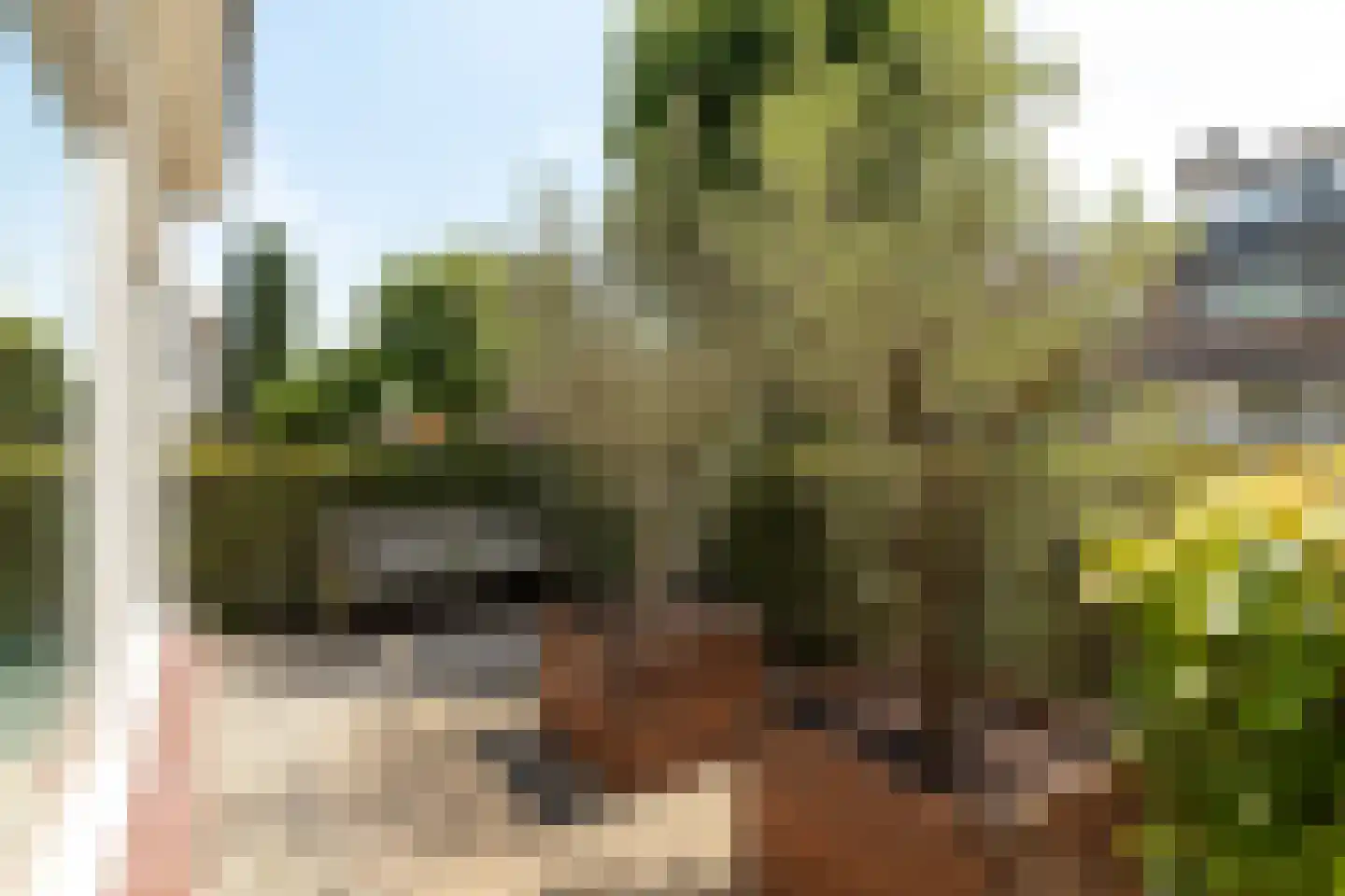 Schaepmanlaan 178 Baarn thumbnail 4