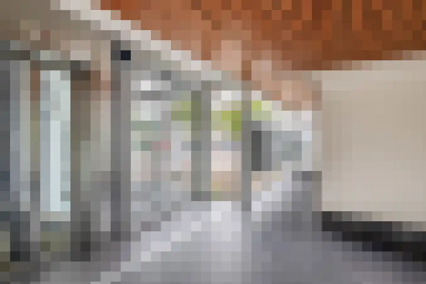 Schaepmanlaan 23 Pijnacker thumbnail 34