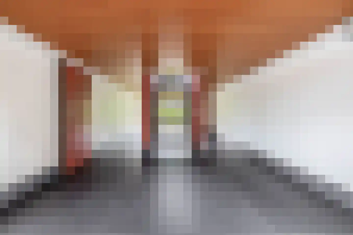 Schaepmanlaan 23 Pijnacker thumbnail 35