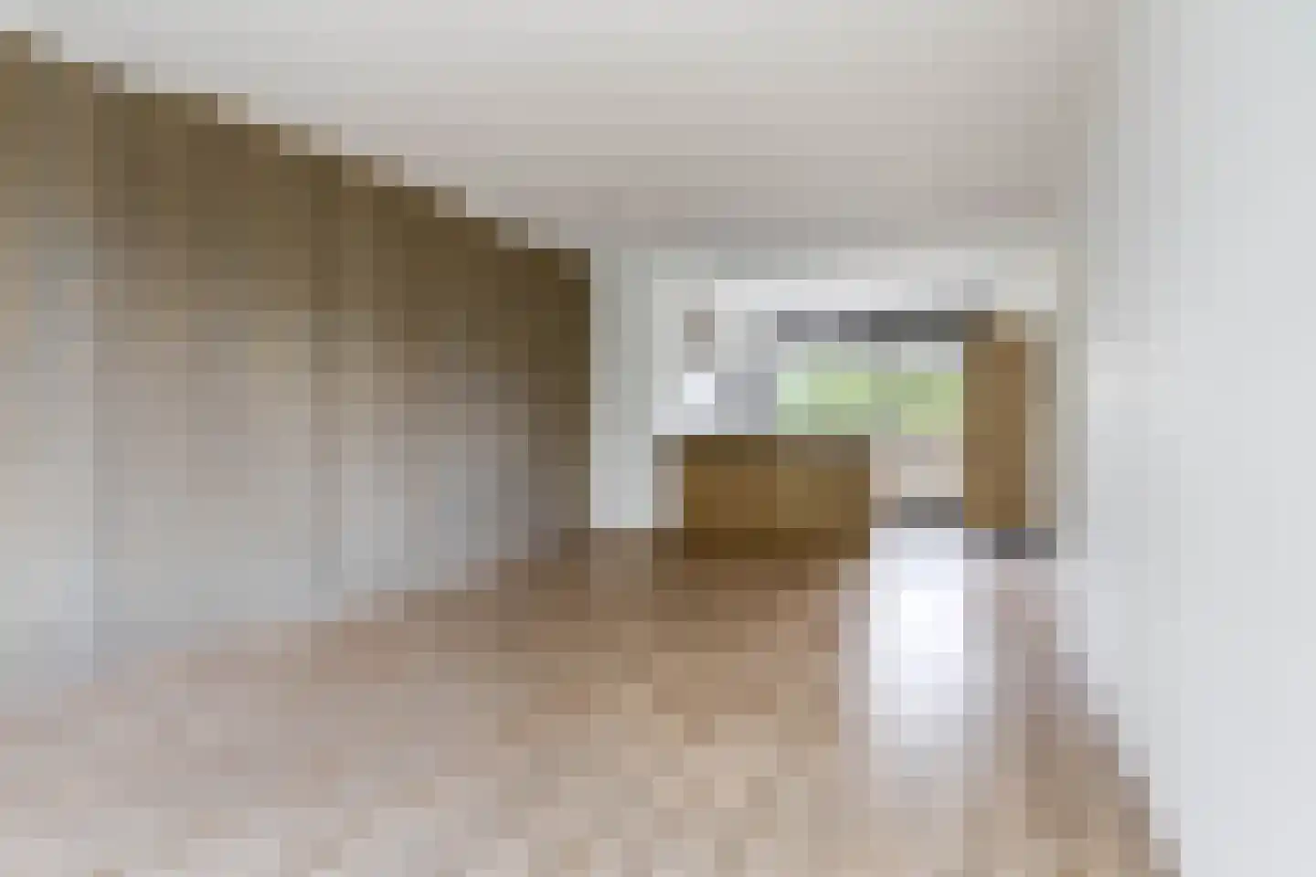Schaepmanlaan 23 Pijnacker thumbnail 5