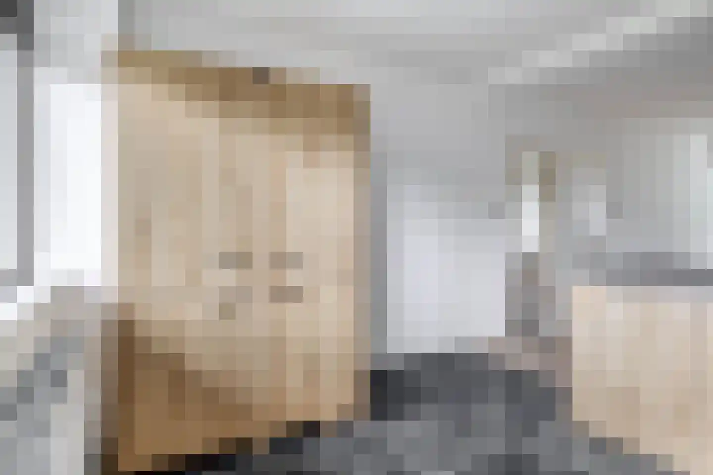 Schaepmanlaan 23 Pijnacker thumbnail 9