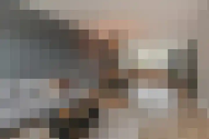 Schaepmanlaan 31 Pijnacker thumbnail 10