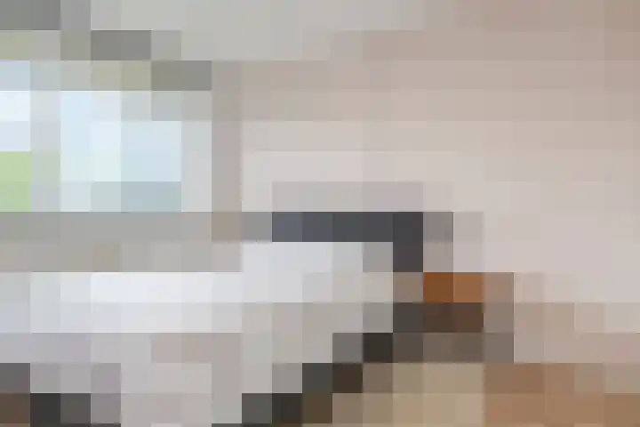 Schaepmanlaan 31 Pijnacker thumbnail 15