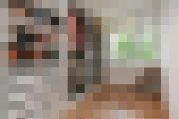 Schaepmanlaan 31 Pijnacker thumbnail 16