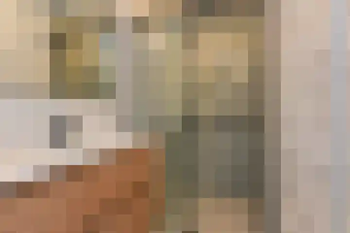 Schaepmanlaan 31 Pijnacker thumbnail 18