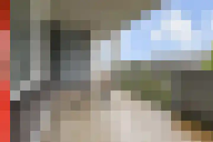 Schaepmanlaan 31 Pijnacker thumbnail 21