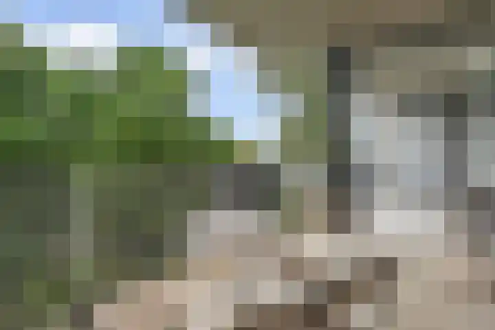 Schaepmanlaan 31 Pijnacker thumbnail 22