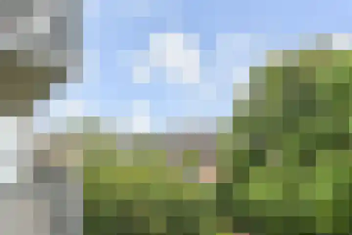 Schaepmanlaan 31 Pijnacker thumbnail 23