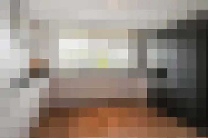 Schaepmanlaan 31 Pijnacker thumbnail 4