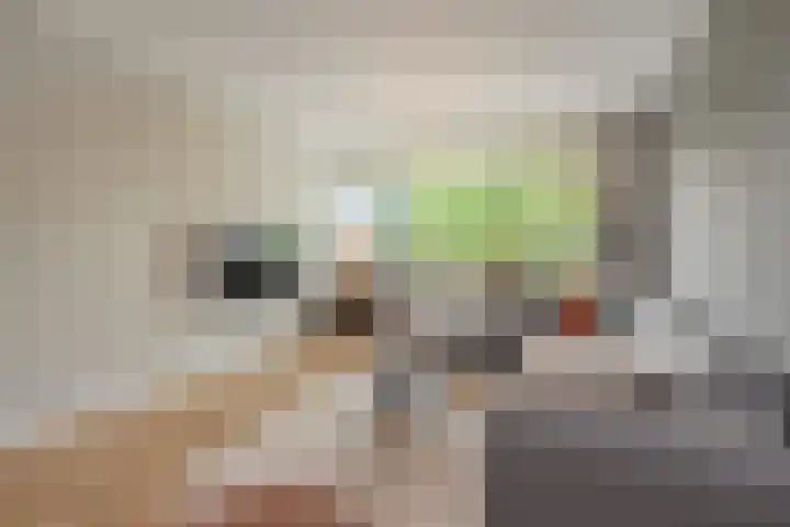 Schaepmanlaan 31 Pijnacker thumbnail 5