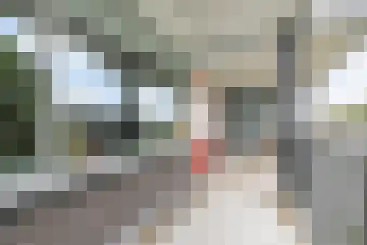 Schaepmanlaan 31 Pijnacker thumbnail 6