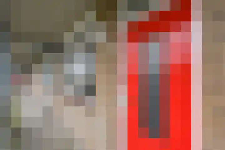 Schaepmanlaan 31 Pijnacker thumbnail 7